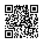 T38113-19-0 QRCode