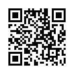 T38117-12-0 QRCode