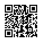 T38120-10-0 QRCode