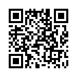 T38122-03-0 QRCode