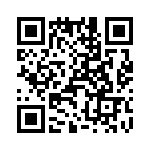 T38122-13-0 QRCode