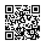 T38130-08-0 QRCode