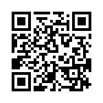 T38130-09-0 QRCode