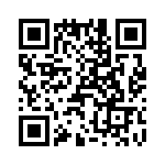 T38130-13-0 QRCode