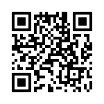 T38132-08-0 QRCode