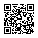 T38132-13-0 QRCode