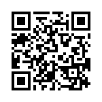 T38132-15-0 QRCode