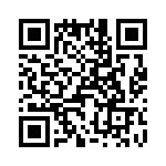 T38142-02-0 QRCode