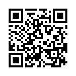 T38160-08-0 QRCode