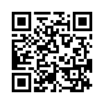 T38163-24-0 QRCode