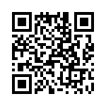 T38167-25-0 QRCode