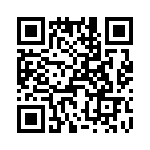 T38168-02-0 QRCode