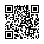 T38171-10-0 QRCode