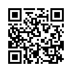 T38173-04-0 QRCode