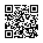 T38210-21-0 QRCode