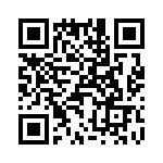 T38212-24-0 QRCode