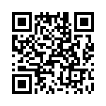 T38215-24-0 QRCode