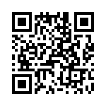 T38238-01-0 QRCode