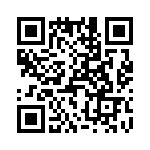 T38263-13-0 QRCode