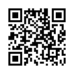 T38311-02-0 QRCode