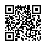 T38312-09-0 QRCode