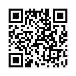 T38313-13-0 QRCode