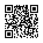 T38313-16-0 QRCode