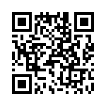 T38313-22-0 QRCode