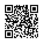 T38322-10-0 QRCode