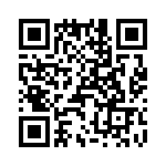 T38332-10-0 QRCode