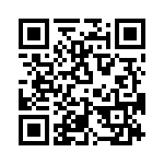 T38333-08-0 QRCode