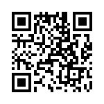 T38337-09-0 QRCode