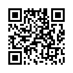 T38338-09-0 QRCode