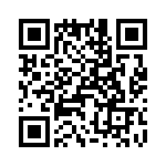 T38360-07-0 QRCode