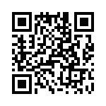 T38360-08-0 QRCode