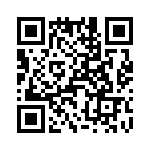 T38360-17-0 QRCode