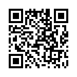 T38362-12-0 QRCode