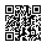 T38362-13-0 QRCode