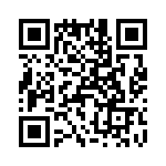 T38363-24-0 QRCode