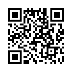 T38367-19-0 QRCode