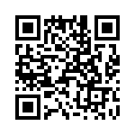 T38367-24-0 QRCode