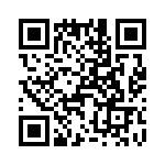 T38410-23-0 QRCode