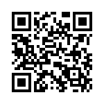 T38412-02-0 QRCode