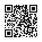 T38412-23-0 QRCode