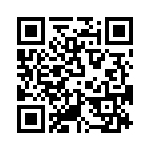 T38420-16-0 QRCode