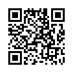 T38425-02-0 QRCode