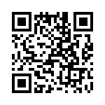 T38425-22-0 QRCode