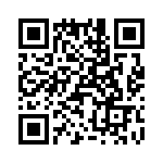 T38427-04-0 QRCode