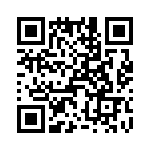 T38428-01-0 QRCode