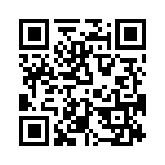 T38432-22-0 QRCode